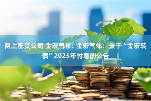 网上配资公司 金宏气体: 金宏气体：关于“金宏转债”2025年付息的公告